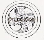 ROSETTE_1883